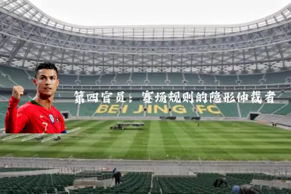 第四官员:赛场规则的隐形仲裁者