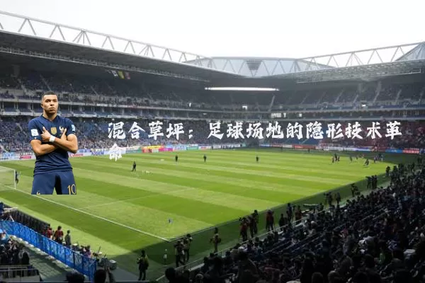 混合草坪：足球场地的隐形技术革命