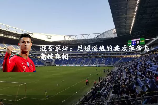 混合草坪：足球场地的技术革命与竞技真相